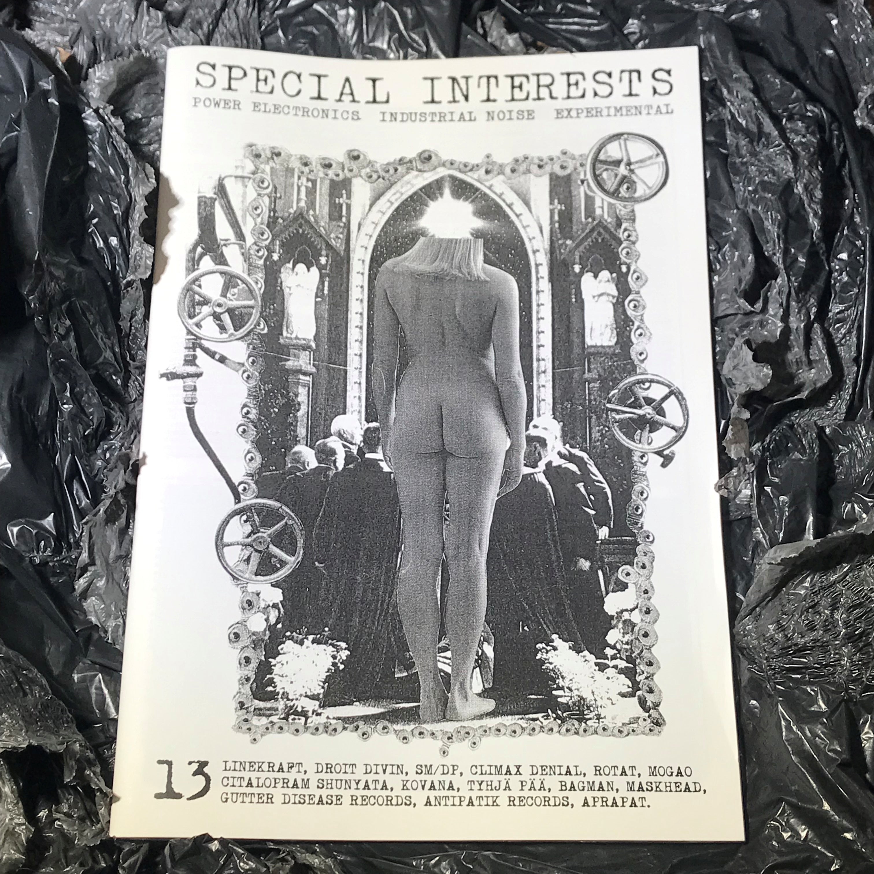 SPECIAL INTERESTS #13 zine